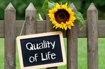 Things To Start Doing Today to Improve Your Quality of Life
