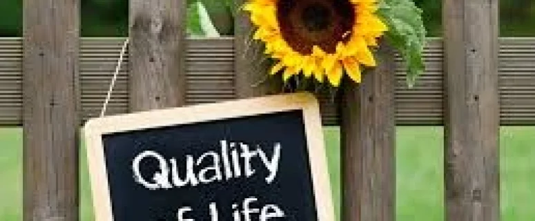 Things To Start Doing Today to Improve Your Quality of Life